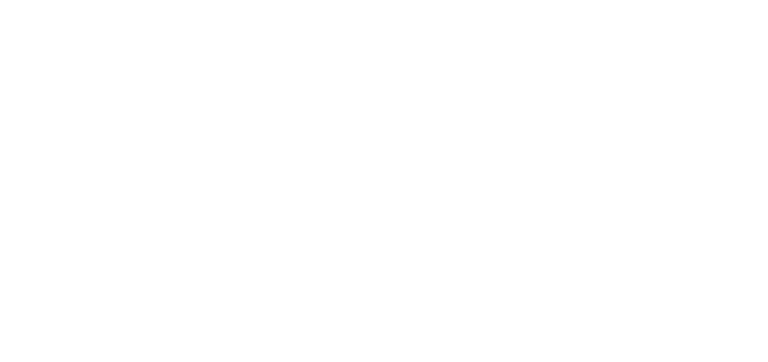 logo_drohnen jan PV
